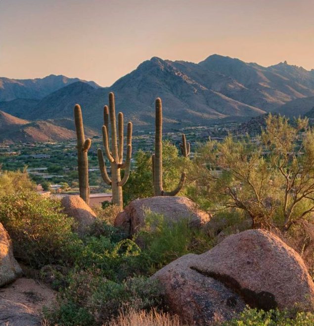 Desert landscape with tall saguaro cacti, large boulders, and green shrubs, with mountains in the background bathed in warm golden sunlight peoria az