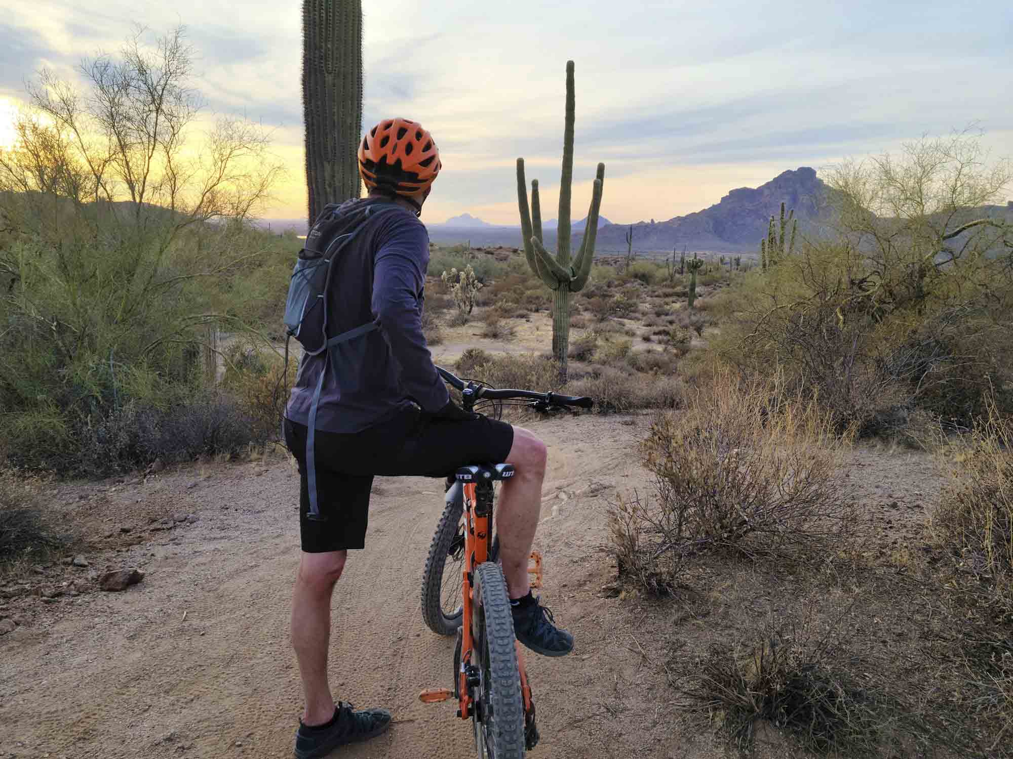 Cyclist wearing an orange helmet and backpack, pausing on a desert trail surrounded by saguaro cacti, with mountains and a sunset in the background peoria az