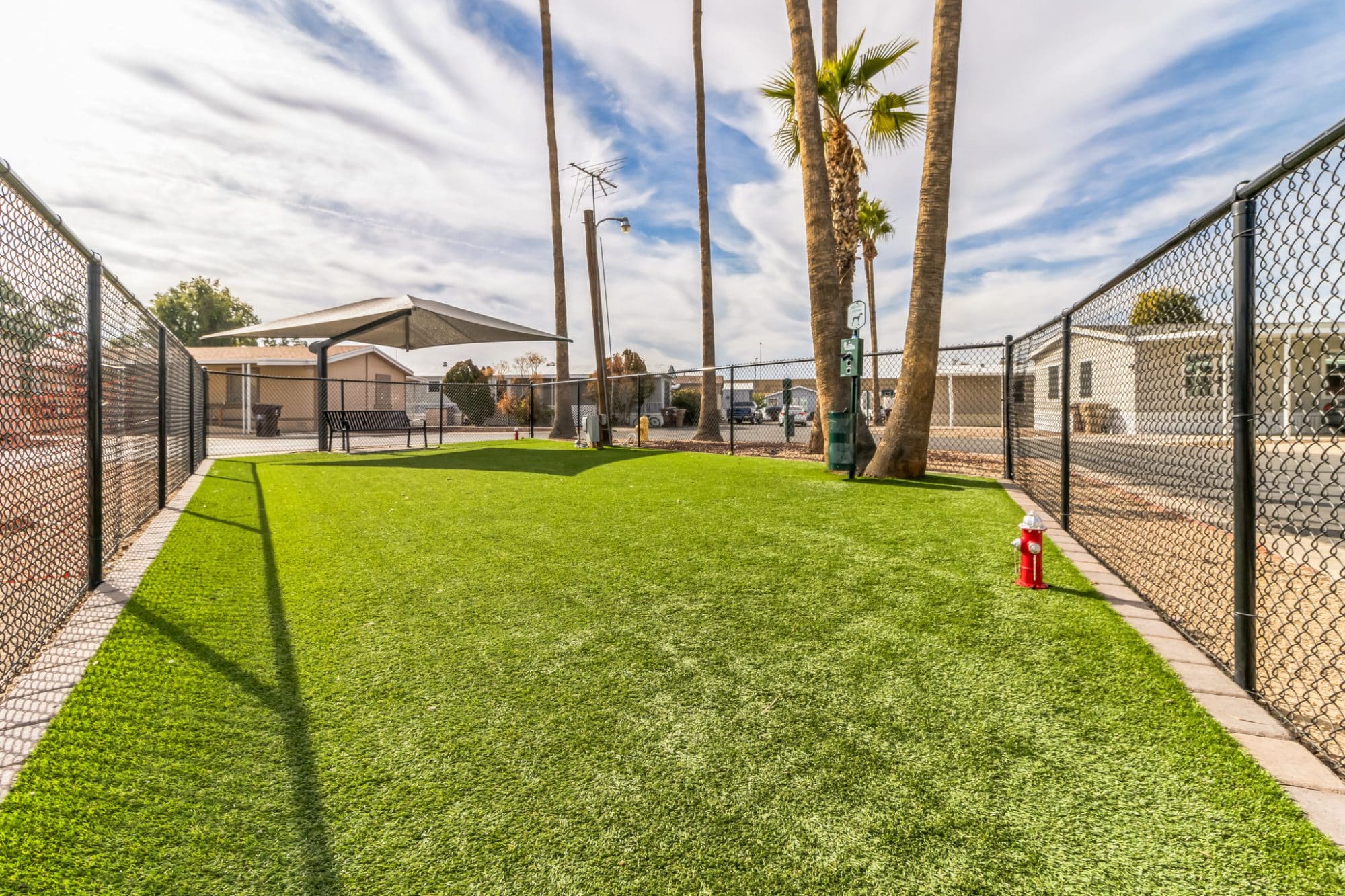 Fenced-in dog park with artificial grass, a shaded bench, and a red fire hydrant, surrounded by palm trees and residential homes under a bright blue sky peoria az